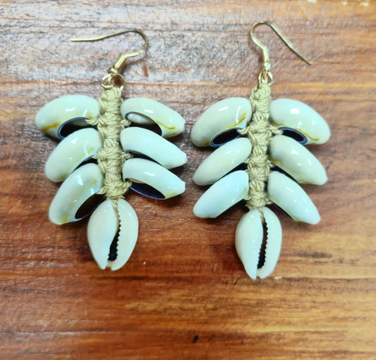 Cowrie Shell Earrings